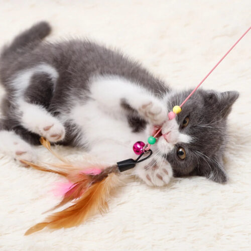 Cat Wand Toys