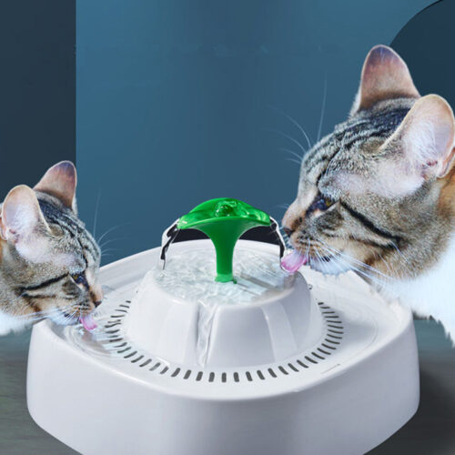 Cat Water Fountains