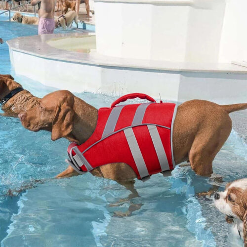 Dog Life Jackets