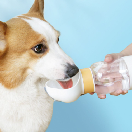 Dog Water Bottle