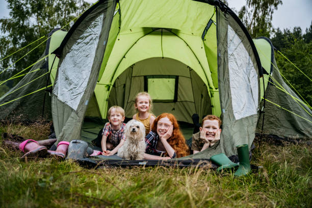 guide about camping with dog Australia