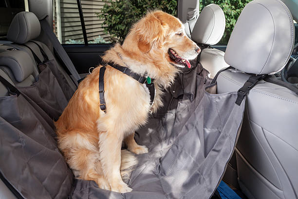 dog in hammock car seat cover