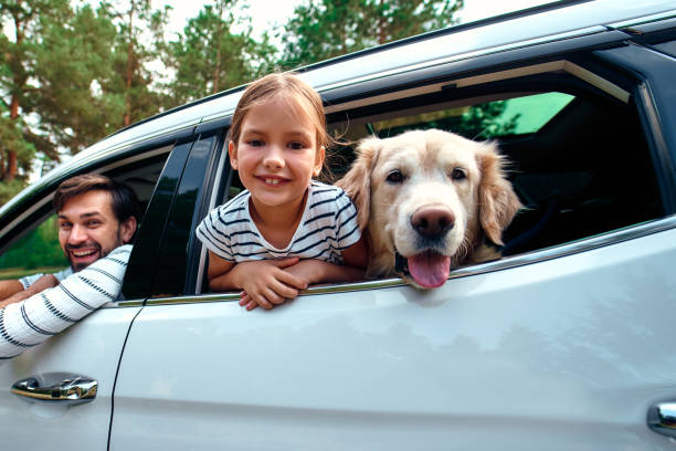 road trip with dog