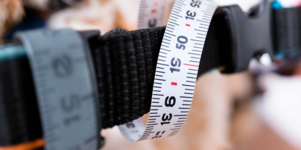 Dog collar being measured with a tape measure.